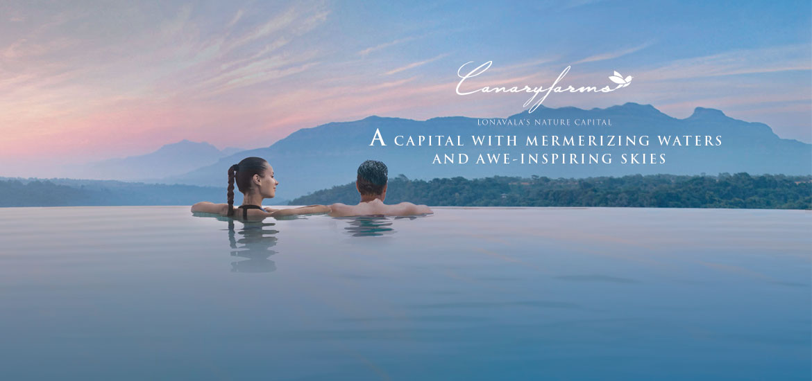canary-capital